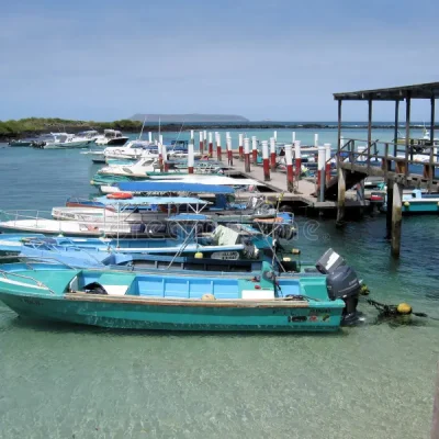 pequeña-isla-isabela-galapagos-islands-del-puerto-38668398